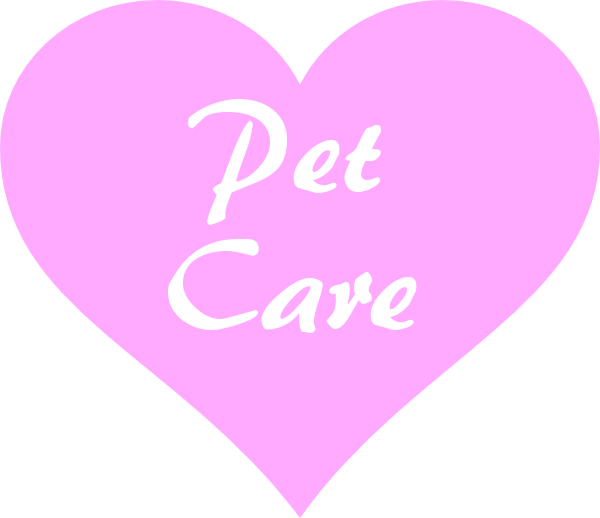 Pet care Pinar de Campoverde